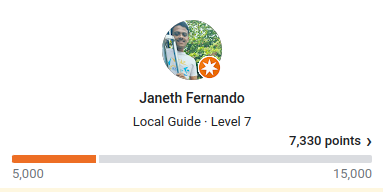Active local guide