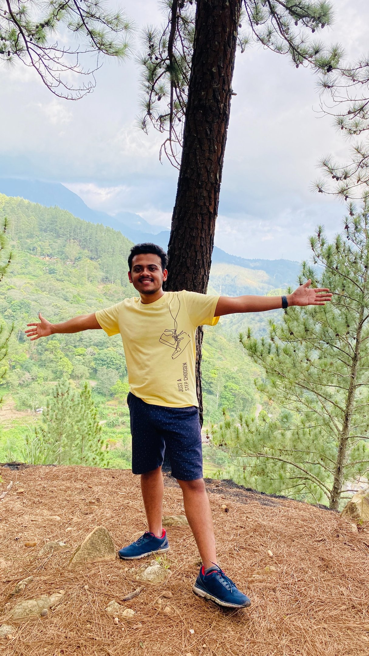 Hiking in pine forests
